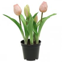 Tulipan różowy, zielony w doniczce Sztuczna roślina doniczkowa dekoracyjna tulipan wys.23cm