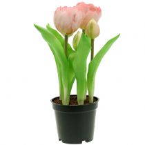 Produkt Sztuczne Kwiaty w Doniczce Sztuczne Tulipany Różowo-Żółte 22,5cm