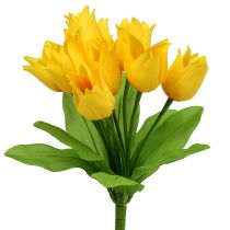 Tulipan krzew żółty H30cm