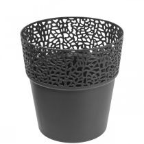 Sadzarka doniczka plastikowa antracyt Ø13cm W13,5cm