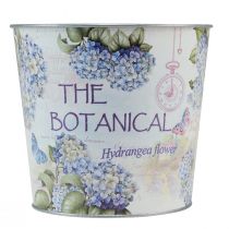 Produkt Metalowa donica do hortensji Ø24cm W21cm