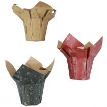 Produkt Papierowe doniczki gwiazdki czerwone/antracyt/naturalne Ø4,5cm W6cm 9 szt