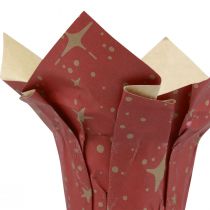 Produkt Papierowe doniczki gwiazdki czerwone/antracyt/naturalne Ø4,5cm W6cm 9 szt