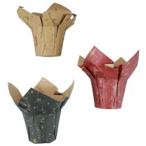 Papierowe gwiazdki do sadzenia czerwone/antracytowe/naturalne Ø9,5cm W10cm 9 sztuk