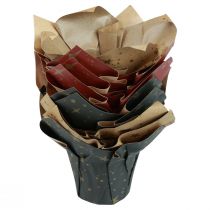 Produkt Papierowe doniczki gwiazdki czerwone/antracytowe/naturalne Ø9,5cm W10cm 9szt