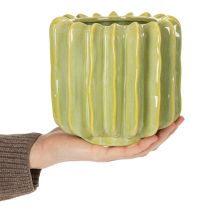 Produkt Doniczka w kształcie kaktusa, idealna do egzotycznych dekoracji wnętrz, 16 cm