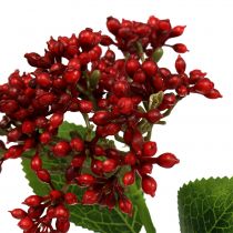 Produkt Berry Branch Red Viburnum Berries 54cm 4szt.