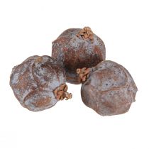Produkt Szyszki jałowca Jałowiec syryjski naturalny Ø1,5–2,5cm 1kg
