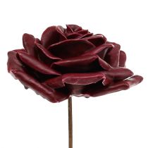 Róża woskowa ciemnoczerwona Ø10cm 6szt.