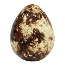 Produkt Jaja przepiórcze jako dekoracja, puste, naturalne, 50 szt.