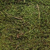 Produkt Ozdoba choinkowa z mchu w kolorze zielonym naturalnym Ø25cm W70cm