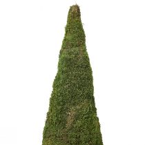 Produkt Ozdoba choinkowa z mchu w kolorze zielonym naturalnym Ø25cm W70cm