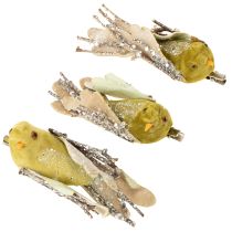 Produkt Ozdoba świąteczna ptaszek na klipsie zielony, brokat 12cm 6szt. różne kolory