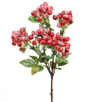 Produkt Świąteczne gałązki z czerwonymi jagodami, dekoracja zimowa, czerwień harpberry naśnieżana L58cm