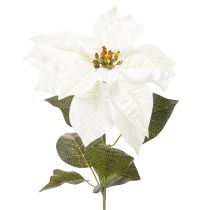 Produkt Sztuczna biała gwiazda betlejemska, dekoracja z dużych kwitnących gałązek, 65 cm, 2 sztuki