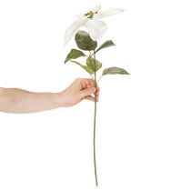 Produkt Sztuczna biała gwiazda betlejemska, dekoracja z dużych kwitnących gałązek, 65 cm, 2 sztuki