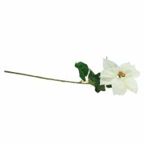 Produkt Poinsecja Sztuczny Kwiat Biały 67cm