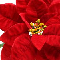 Poinsecja Sztuczny Kwiat Czerwony 67cm