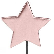 Produkt Poinsecje na patyku różowe Ø7cm – II gatunek – 24 szt.