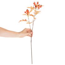 Produkt Sztuczna gałązka głogu z liśćmi i owocami, 62 cm