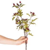 Produkt Sztuczna gałązka głogu z czerwonymi owocami, dekoracja, 110 cm
