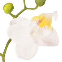 Produkt Biała orchidea sztuczne kwiaty w doniczce Phalaenopsis H33cm