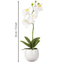 Produkt Biała orchidea sztuczne kwiaty w doniczce Phalaenopsis H33cm