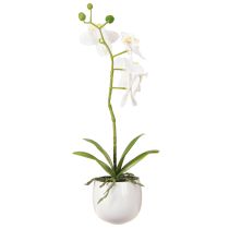 Produkt Biała orchidea sztuczne kwiaty w doniczce Phalaenopsis H33cm
