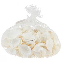 Produkt Muszelki dekoracyjne sercówki białe kremowo-białe 2-3,5cm 300g