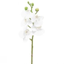 Produkt Biała sztuczna orchidea Phalaenopsis Real Touch 32cm