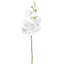 Biała sztuczna orchidea Phalaenopsis Real Touch 85cm