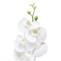 Produkt Biała sztuczna orchidea Phalaenopsis Real Touch 85cm