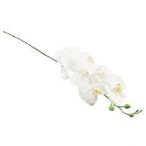 Produkt Biała sztuczna orchidea Phalaenopsis Real Touch 85cm