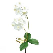 Biała orchidea na kikucie Sztuczna Phalaenopsis Real Touch 39cm