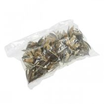 Produkt Dzika lilia naturalna dekoracja egzotyczne suszone kwiaty 6-8 cm 50 szt.