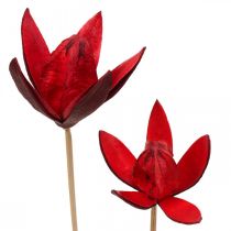 Dzika lilia na łodydze czerwona Ø6,5cm 35cm 45szt