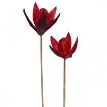 Produkt Dzika lilia na łodydze czerwona Ø6,5cm 35cm 45szt