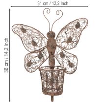 Produkt Latarnia metalowa, dekoracja ścienna, motyl, wykończenie rdzawe, 36,5 cm