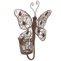 Produkt Latarnia metalowa, dekoracja ścienna, motyl, wykończenie rdzawe, 36,5 cm
