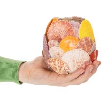 Produkt Świecznik na podgrzewacze w stylu marynistycznym, latarenka, prawdziwe muszle, dekoracja do łazienki, świąteczny klimat, 12 cm