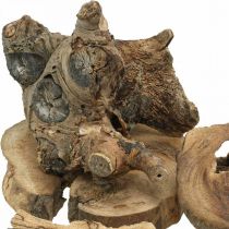 Root wood deco kawałki drewna dekoracja rozproszona 3-10cm 500g