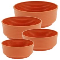 Produkt Miska plastikowa Z Ø 16cm - 22cm 10 szt