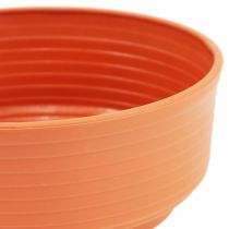 Produkt Miska plastikowa Z Ø 16cm - 22cm 10 szt