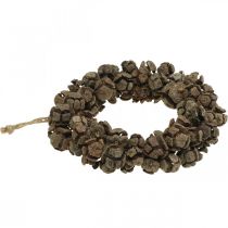 Produkt Stożek wieniec cyprys stożek wieniec wieniec na drzwi natura Ø20cm