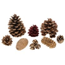 Produkt Naturalny mix szyszek do dekoracji i prac kreatywnych 2-10 cm 400 g