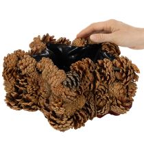 Produkt Doniczka szyszkowa, kształt gwiazdy, 30 cm