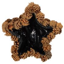 Produkt Doniczka szyszkowa, kształt gwiazdy, 30 cm