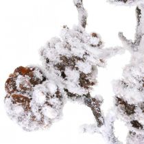 Dekoracyjna gałązka bożonarodzeniowa Gałąź stożkowa ośnieżona 72 cm