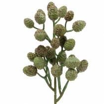 Cone Branch Green 33cm Sztuczna roślina jak prawdziwa!