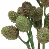 Produkt Cone Branch Green 33cm Sztuczna roślina jak prawdziwa!